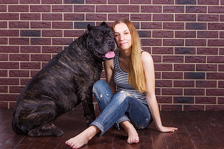 坐在狗犬Cane Corso旁边砖墙边的女孩图片