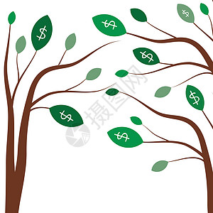 钱树 商业概念 在绿树叶上印有白美元标志的图片