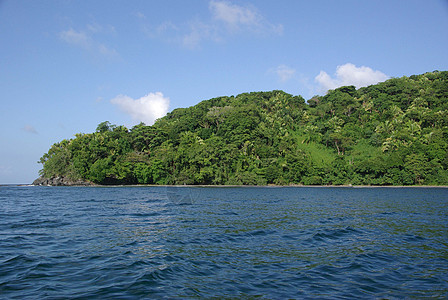 洪都拉斯的景观森林红树木头热带风景海岸荒野图片