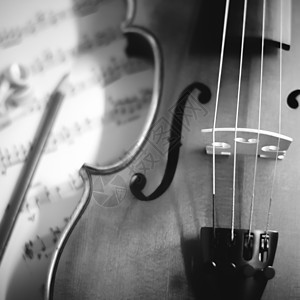 时间练习小提琴黑白颜色音调风格细绳床单生活音乐音乐家交响乐旋律中提琴木头作曲家图片