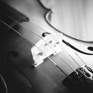 时间练习小提琴黑白颜色音调风格滚动乐队乐器细绳仪器旋律交响乐音乐家音乐会大提琴图片