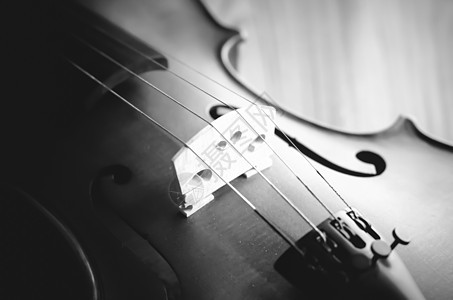 时间练习小提琴黑白颜色音调风格细绳中提琴滚动音乐家乐器交响乐旋律音乐会乐队木头图片
