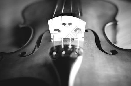 时间练习小提琴黑白颜色音调风格音乐会细绳乐队交响乐旋律滚动中提琴仪器魅力乐器图片