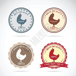 白色背景上的鸡蛋标签的矢量组动物烹饪蓝色徽章餐厅插图市场公鸡包装家禽图片