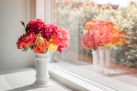 窗口中的粉红玫瑰图片