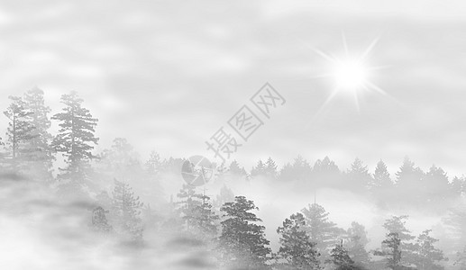 日出时暗雾森林的景观太阳薄雾林地荒野美丽阳光场景叶子公园木头图片