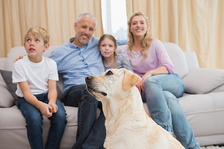 父母及其子女与小狗在沙发上图片
