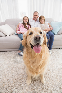 家人坐在沙发上 前头有金色的采金器感情家庭父亲男性男生服装宠物女性房子快乐图片