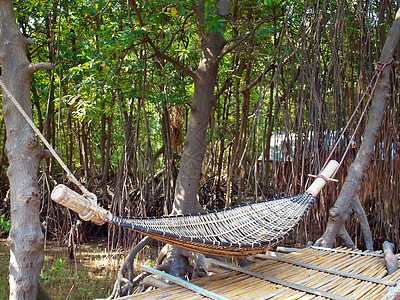 哈默克拉坦丛林垃圾森林植物环境绳索吊床公园叶子竹子图片
