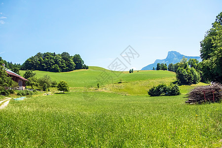 绿绿色农村景观植物爬坡季节场景牧场天空环境晴天土地场地图片