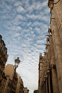 圣母大教堂 建筑细节 巴黎大教堂纪念碑贵妇人雕塑入口宽慰雕刻喷口教会城市图片