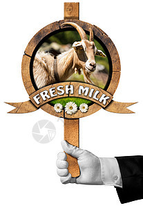 山羊新鲜牛奶  用厨师手签名质量框架奶制品食物胡须畜牧业圆圈哺乳动物营销手套图片