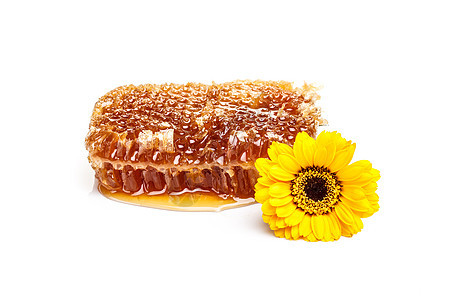 蜂窝金子橙子养蜂业蜂蜜六边形蜂蜡梳子棕色多边形蜂巢图片