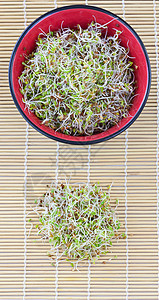 新鲜芽环境食物谷物饮食植物萝卜沙拉生活幼苗生长图片