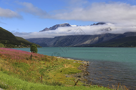 Ulsfjorden 沃尔夫约尔登图片