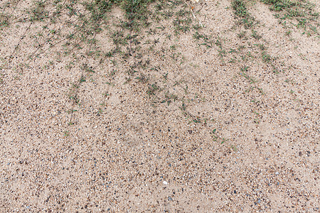 沙砂植物背景沙丘野生动物沙漠线条自然沙浪自然景观摘要纹理图片