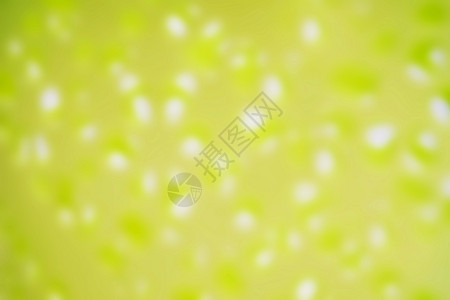 模糊的绿色钢花朵纹理背景背景图片