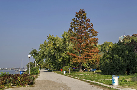 多瑙河沿线Ruse镇的河滨公园树木长椅天空大街支撑建筑公园废纸栅栏港口图片