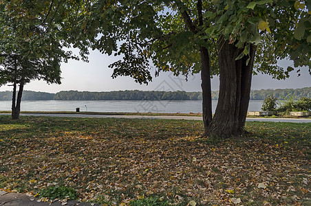 多瑙河沿线Ruse镇的河滨公园红色天空绿色树木叶子金子大街布朗花园灌木图片