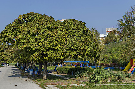 多瑙河沿线Ruse镇的河滨公园建筑长椅红色公园树木楼梯天空大街灌木花园图片