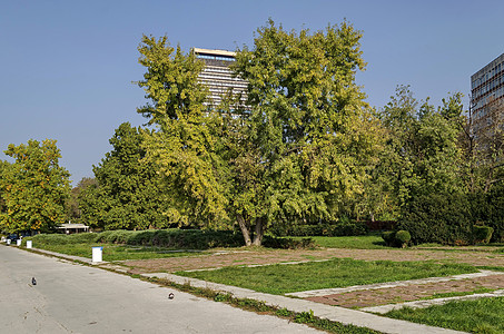 多瑙河沿线Ruse镇的河滨公园房子木头树木灯光栅栏建筑花园公园灌木天空图片