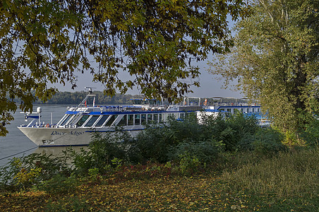 多瑙河Ruse港多瑙河客轮游轮金子支撑绳索红色叶子天空布朗绿色树木灌木图片