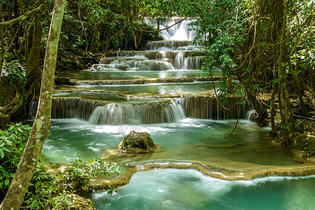 瀑布泳池绿色森林热带落水叶子溪流图片