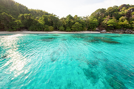 蜜月湾和泰国西米兰岛海滩海景天空蜜月支撑蓝色环境晴天阳光旅游热带图片