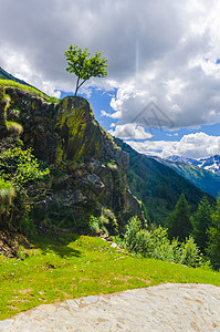 夏季意大利阿尔卑斯山花朵草地远足全景场景天空假期旅游顶峰太阳图片