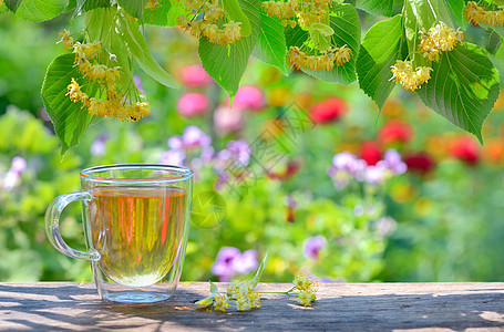 茶杯和鲜花药品玻璃椴树疗法治疗茶壶蓝色球座花园桌子图片