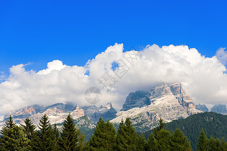 意大利特伦蒂诺树木岩石风景登山松树顶峰冒险运动全景高山图片