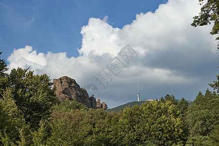 贝洛格拉奇克岩石中的岩石群形成阳光天空电视岩层树木团体旅游图片