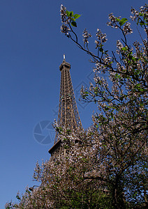 Eiffeltårn i巴黎背景图片