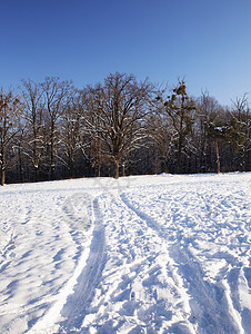 冬季公路旅行下雪运输车道公园场景风景森林交通暴风雪图片