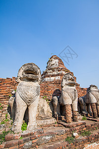 泰国Ayutthaya历史公园的Ruins狮子雕像建筑学地标天空废墟风景历史性石头文化宝塔蓝色图片