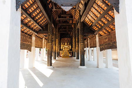 位于兰邦的泰国寺庙森林地标太阳木头植物树干环境宝塔天空荒野图片