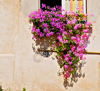在欧洲意大利米兰古老的建筑花朵中历史蓝色历史性框架窗户建筑学快门乡村玻璃国家图片
