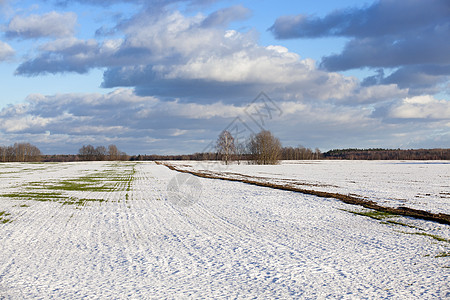在冬季的字段中牧场草地乡村生长季节天空越野天气空地小麦图片
