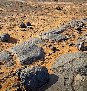 在摩洛科沙哈拉和岩石石的沙漠中的古老灌木化石碎石土地矿物环境沉积荒野干旱旅行古生物学化石图片