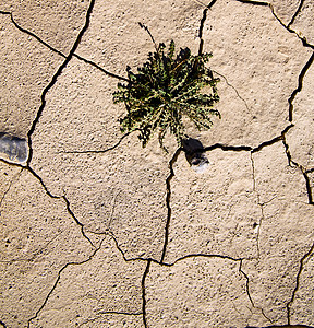 沙哈拉沙漠中棕色干沙 非洲土壤侵蚀和腹肌沙丘宏观地面地形自然地质学天气气候黏土地球图片