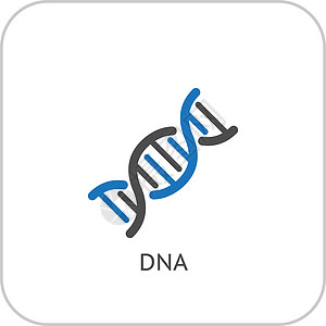 DNA 和医疗服务图标 平面设计药品生活遗传插图克隆阴影科学染色体曲线生物学图片