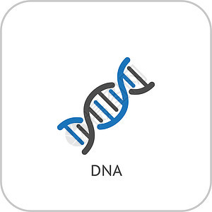 DNA 和医疗服务图标 平面设计药品生活遗传插图克隆阴影科学染色体曲线生物学图片