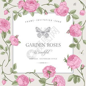 玫瑰卡叶子印迹墙纸框架婚礼横幅问候语植物装饰生日图片