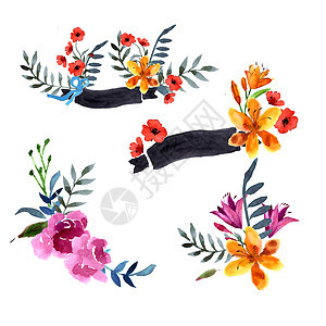开花的野花 微妙的花朵 本底油漆水彩色装饰品纺织品玫瑰花园花瓣叶子植物婚礼荒野卡片图片