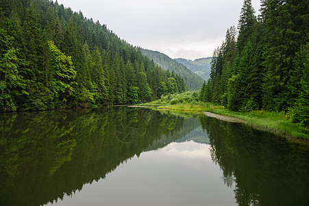 红湖Lacul Rosu 东喀尔巴阡山脉 罗马尼亚松树反射爬坡绿色风景地形森林灰色池塘树木图片
