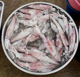准备在市场上出售的新鲜鱿鱼章鱼海鲜食物乌贼动物图片