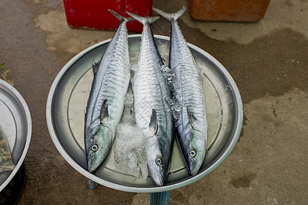 鱼市场上的新鲜鱼鲈鱼甲壳螃蟹食物香菜钓鱼鱼片金头烹饪鼠科图片