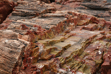 石化木材石头棕色木头背景图片