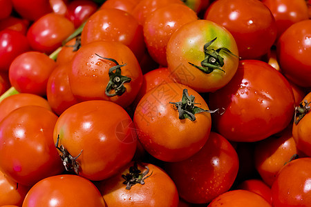 新鲜番茄背景白色红色绿色西红柿作品食物小路蔬菜背景图片