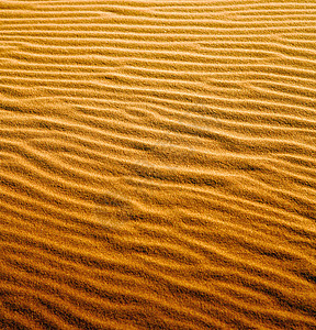 萨哈拉莫罗科沙漠中的棕色沙丘沙漠圆顶风景阳光墙纸爬坡保护热带土地海浪图片
